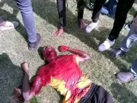 WhatsApp Image 2025-10-16 at 17.52.58_3ad93b64.webp