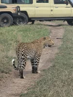 WhatsApp Image 2025-11-10 at 23.39.32.webp