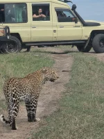 WhatsApp Image 2025-11-10 at 23.39.31.webp