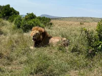 WhatsApp Image 2025-11-05 at 06.21.09.webp