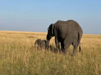 WhatsApp Image 2025-11-11 at 00.05.44.webp