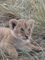 WhatsApp Image 2025-11-21 at 08.59.14.webp