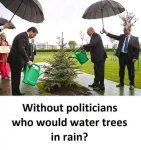 FB_IMG_1656601616701.jpg