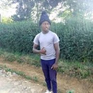 george254