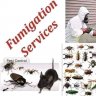 Aantex Pest Control And Fumigation