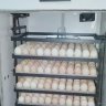 Tripple S Poultry Farm - Machakos