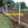Cute Fencing Limited