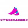 Solcity Cleaning Services