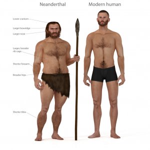 Digital-illustration-and-render-of-a-Neanderthal-manNicolas-Primolas.jpg-.jpg