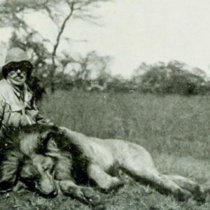 W.S. Richardson with carcass of a lion