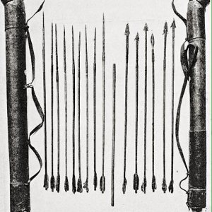 Arrow and quiver of the Dorobo